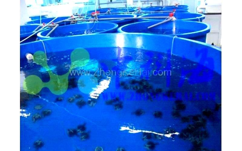 中国科学院海洋研究所-水族楼-鱼类实验室
